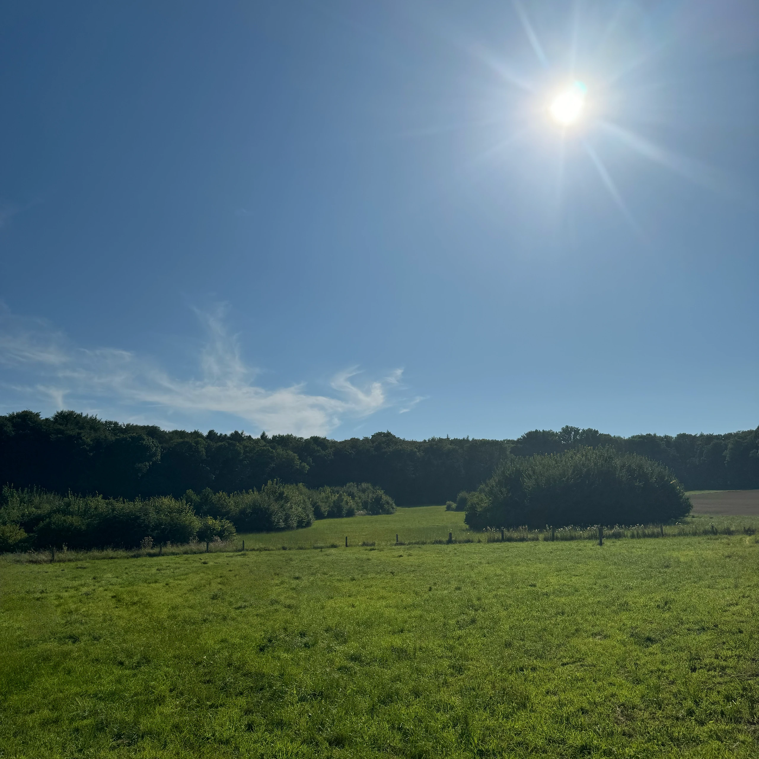 Abendstimmung mit Lichterketten